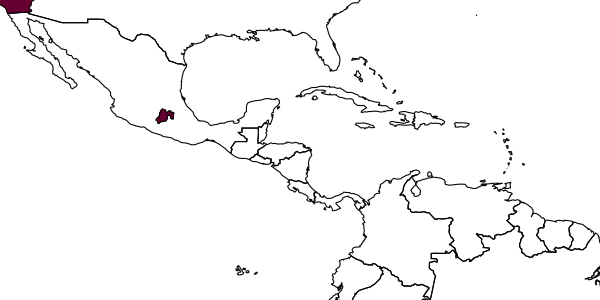 map of Phaenoglyphis calverti     Andrews, 1978